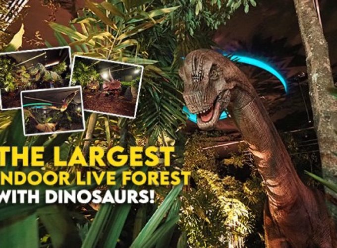 Dinoland Ranger Adventure Camp – 2 Day 1 Night
